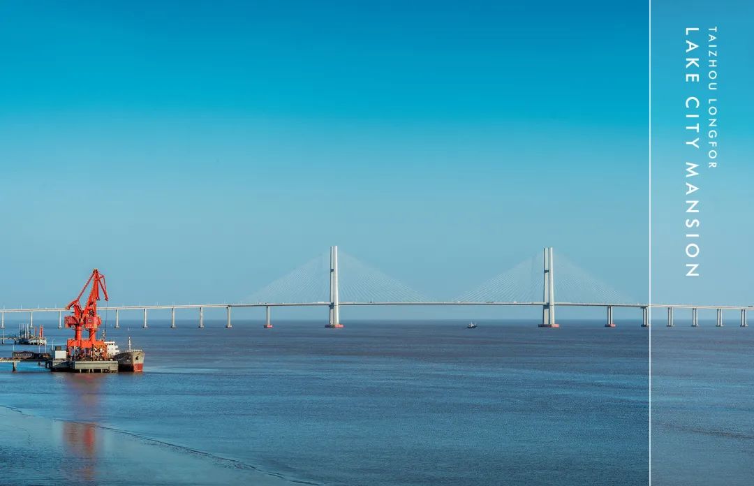 1609064786648528.jpg 5.jpg