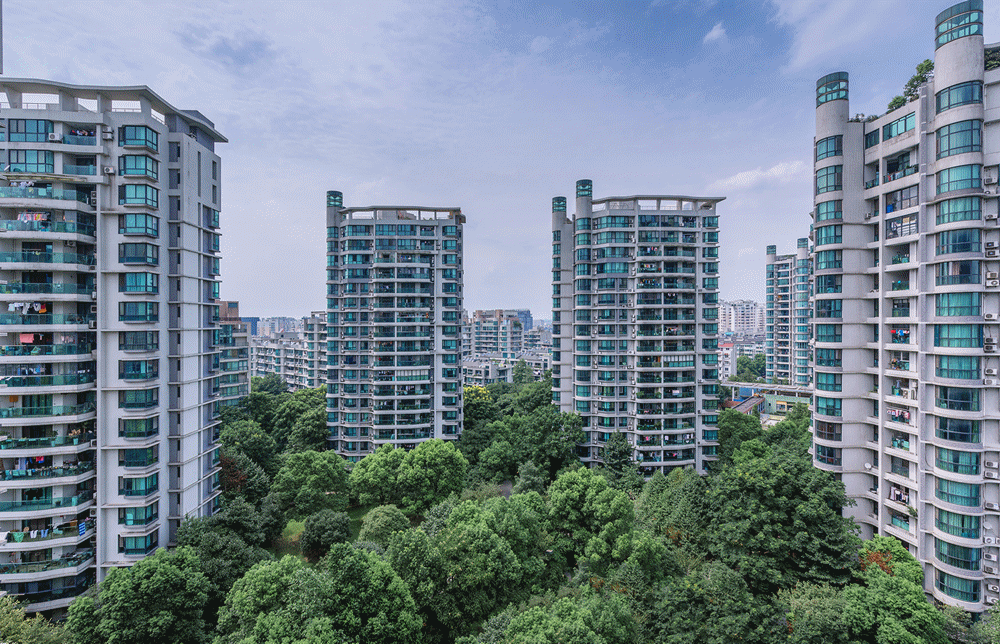 1672389482876118.gif 22.gif